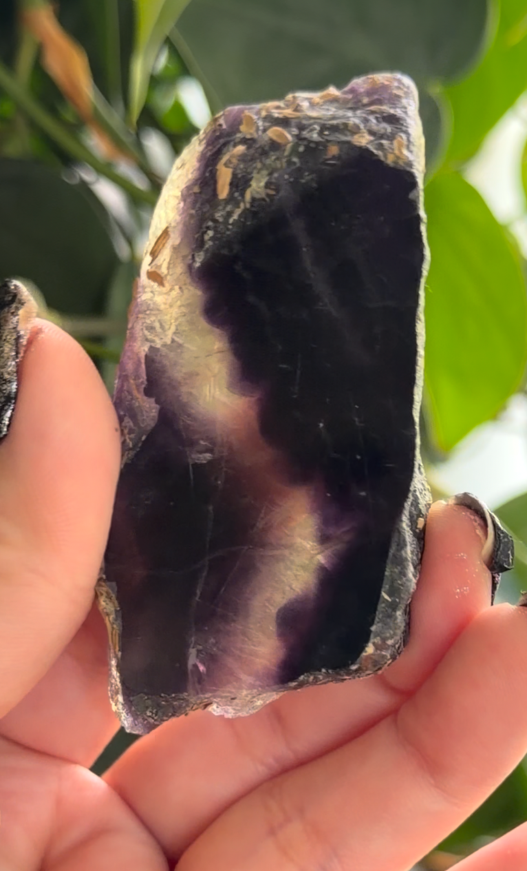 Polished Rainbow Fluorite Slab | 1.5" Fluorite Window | Purple Banded Crystal