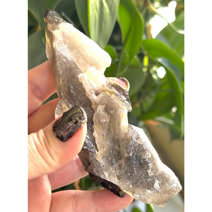 Smoky Quartz | 5.3" Morion Quartz Scepter | Crystal Specimen