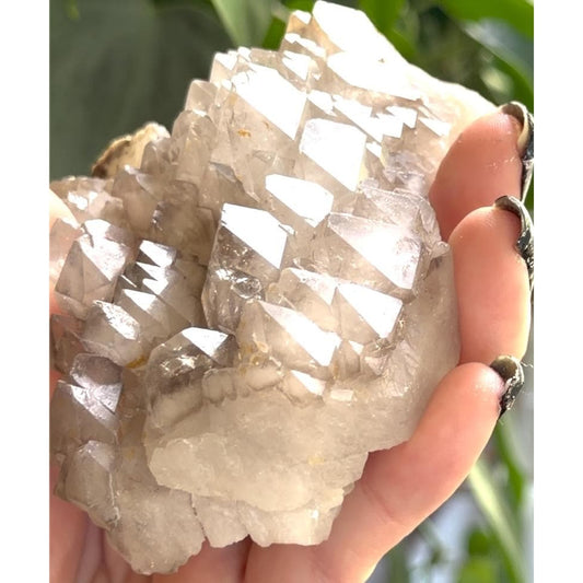 Elestial Candle Quartz | Natural Smokey Quartz | Quartz Cluster | Crystal Library