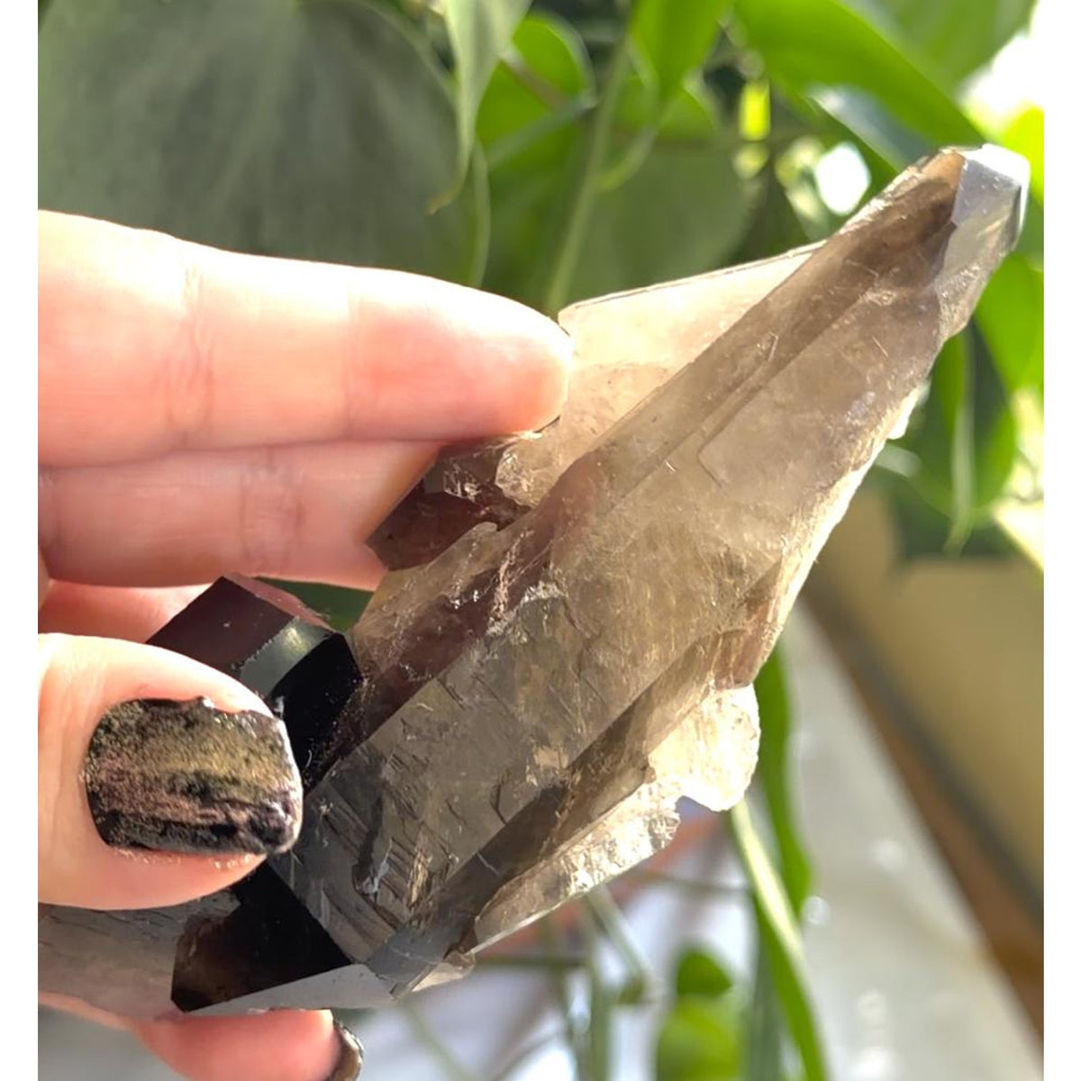 Smoky Quartz | 5.3" Morion Quartz Scepter | Crystal Specimen