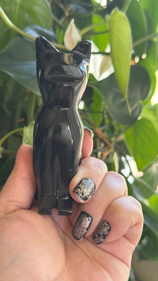 A hand with glittery black nail polish holds a glossy black cat-shaped object against a background of green houseplants.