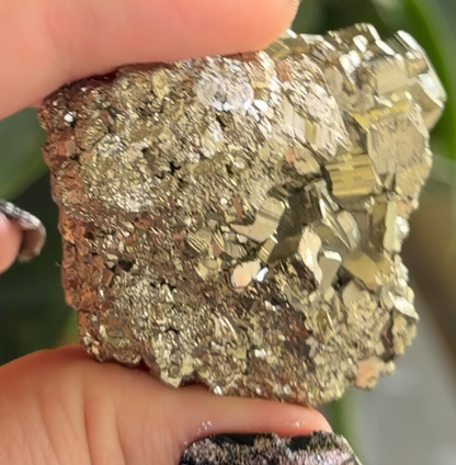 Pyrite Cube | Fool's Gold Mineral | 2.5" Natural Cluster