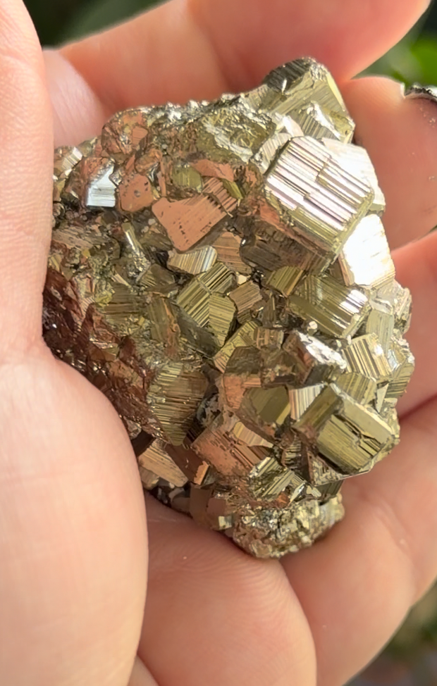 Pyrite Cube | Fool's Gold Mineral | 2.5" Natural Cluster