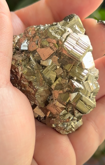 Pyrite Cube | Fool's Gold Mineral | 2.5" Natural Cluster