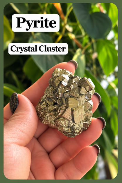 Pyrite Cube | Fool's Gold Mineral | 2.5" Natural Cluster