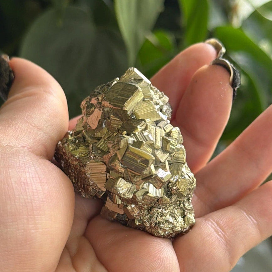 Pyrite Cube | Fool's Gold Mineral | 2.5" Natural Cluster