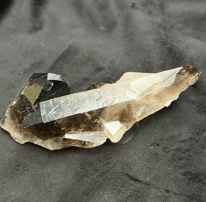 Smoky Quartz | 5.3" Morion Quartz Scepter | Crystal Specimen