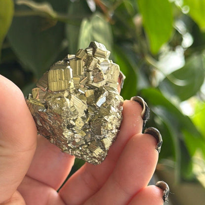 Pyrite Cube | Fool's Gold Mineral | 2.5" Natural Cluster
