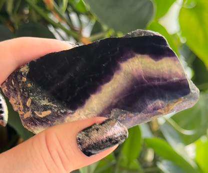 Polished Rainbow Fluorite Slab | 1.5" Fluorite Window | Purple Banded Crystal