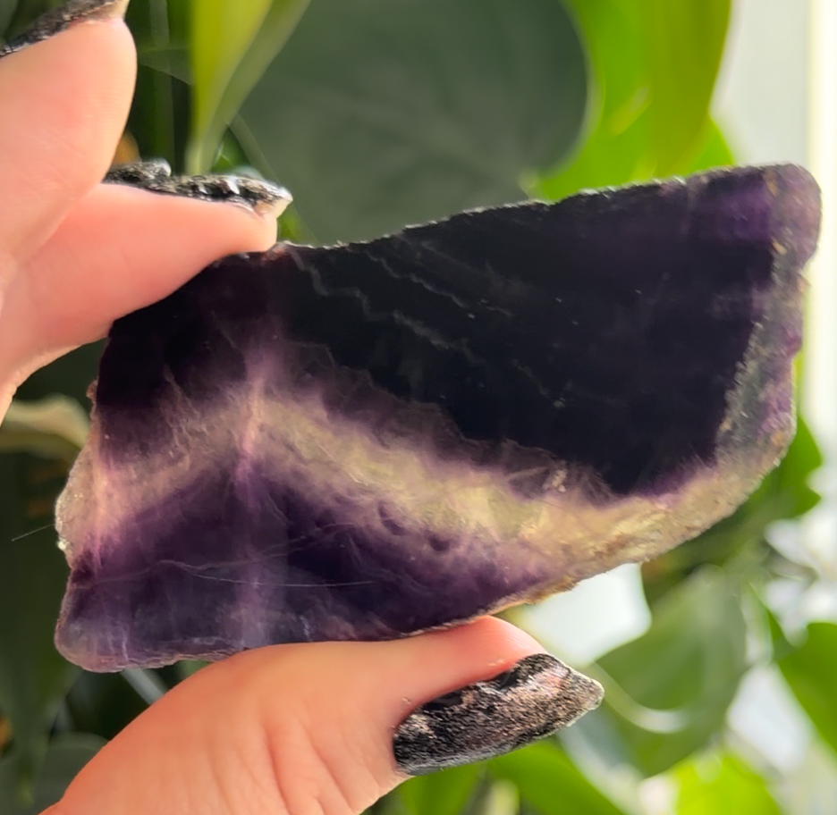 Polished Rainbow Fluorite Slab | 1.5" Fluorite Window | Purple Banded Crystal