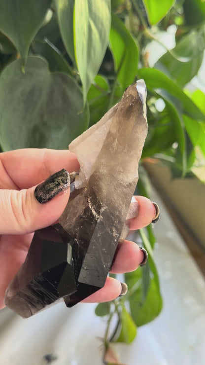 Smoky Quartz | 5.3" Morion Quartz Scepter | Crystal Specimen