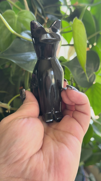 Black Obsidian Cat | Carved Crystal