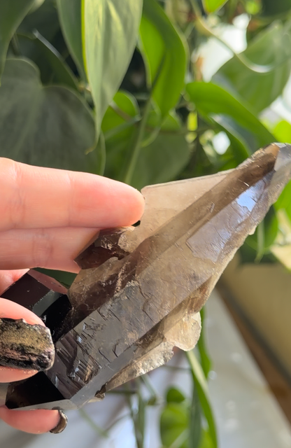 Smoky Quartz | 5.3" Morion Quartz Scepter | Crystal Specimen