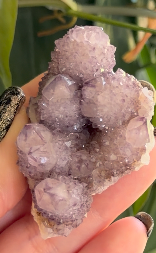 Spirit Quartz Druzy | 2" Lavender Faerie Quartz